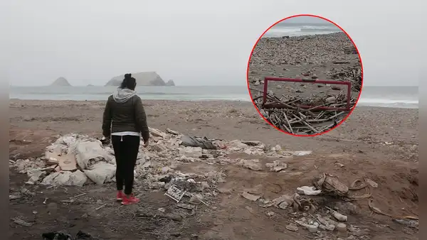 Estuario del Lurín: vidrios y desechos amenazan a aves migratorias