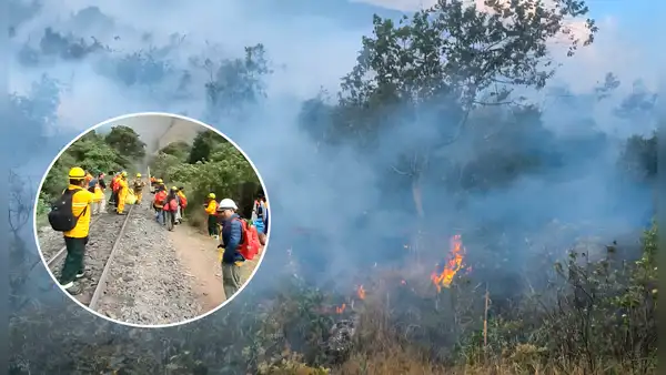 Lluvias y brigadistas logran controlar incendio forestal en Machu Picchu