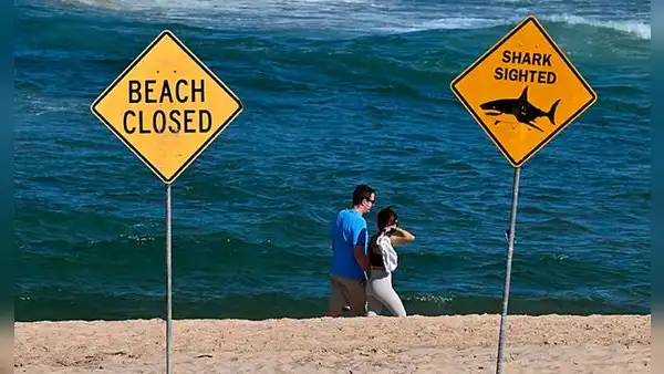 Australia: surfista muere tras ataque de tiburón y autoridades son obligadas a cerrar varias playas