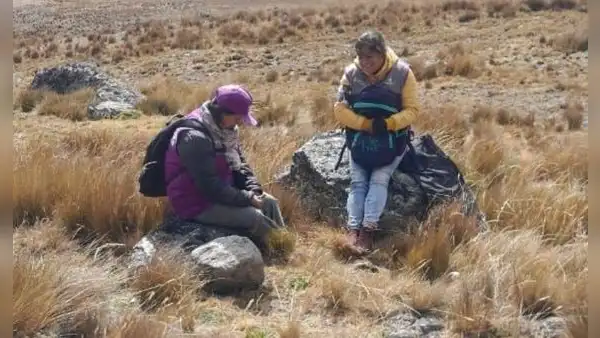 Censistas desaparecen por un día luego de terminar su jornada en Junín: habrían sufrido desperfecto en vehículo, según INEI