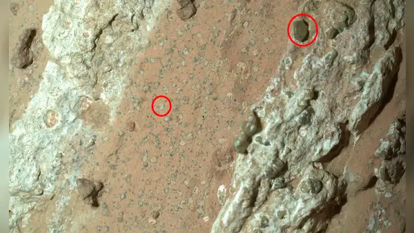 La NASA anuncia el hallazgo del siglo: descubren indicios de vida en el pasado de Marte, pero lo más difícil será confirmarlo