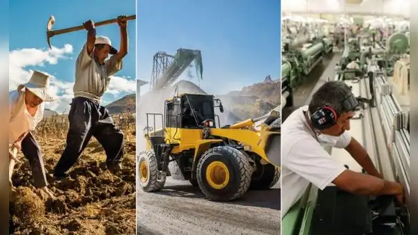 Economía peruana se desacelera en julio y alcanza un 3,41%: los sectores que crecieron a un menor ritmo