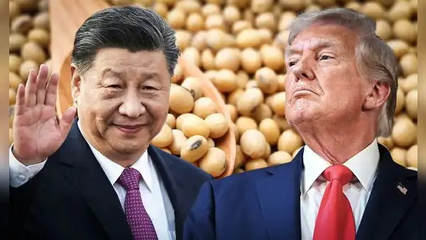 El país de Sudamérica que remplaza a Estados Unidos como el mayor exportador de soja a China por guerra de aranceles de Trump