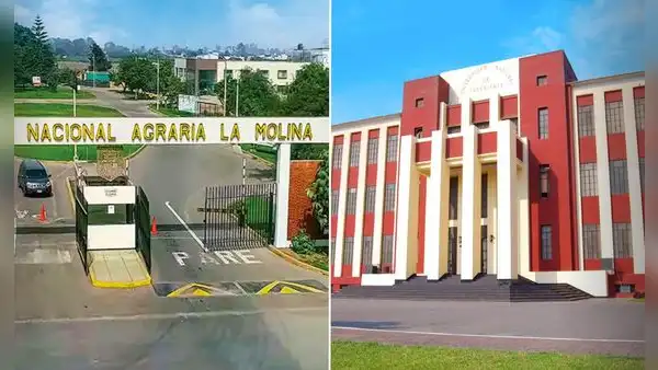 Esta universidad estatal dejó atrás a la UNI, a la Agraria y se posiciona como la mejor del Perú, según el ránking Sunedu 2025