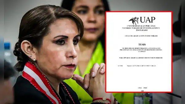 Revelan las fuentes del plagio en la tesis de Patricia Benavides: más de 30 páginas de copia y pega