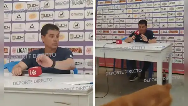 Asistente de Néstor Gorosito vive insólito momento tras derrota de Alianza Lima: un perro lo interrumpió durante la conferencia