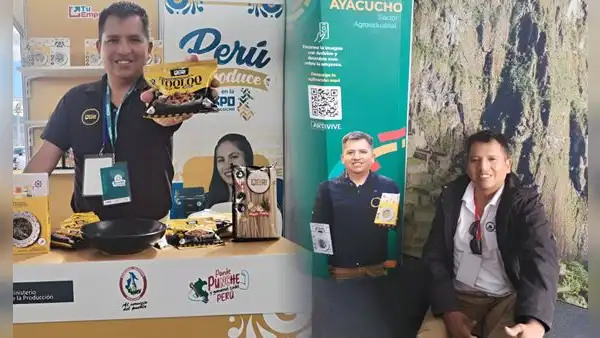 Ingeniero peruano creó fideos de quinua y cuy y ahora lidera una empresa que exporta a Sudamérica, EE. UU. y Alemania