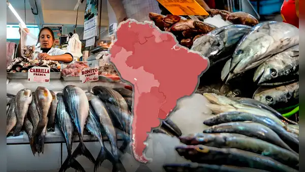 El país de América Latina con mayor producción de pescado del mundo junto a China e Indonesia: supera a EE.UU. en top 5