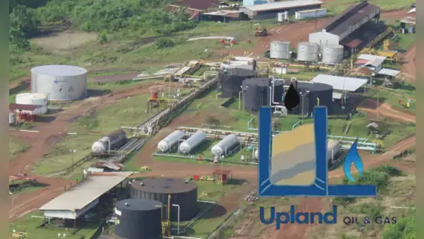 Perupetro: Upland no acreditó capacidad económica para asumir el 79% del contrato del Lote 192
