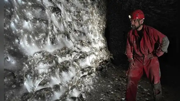 Científicos descubren la telaraña más grande del mundo donde prosperan más de 111.000 arañas en una cueva completamente oscura