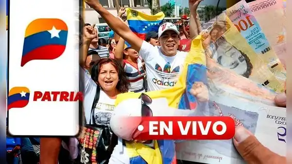 Bonos Activos información de HOY, 20 de noviembre: bono para pensionados, próximos pagos con aumento y buenas noticias del Sistema Patria