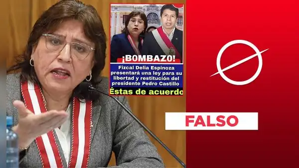 Delia Espinoza no presentó un proyecto ley al Congreso para liberar a Pedro Castillo