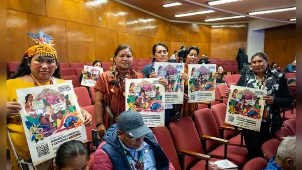 COP30: Perú llega con aumento récord de deforestación y líderes indígenas exigen participación