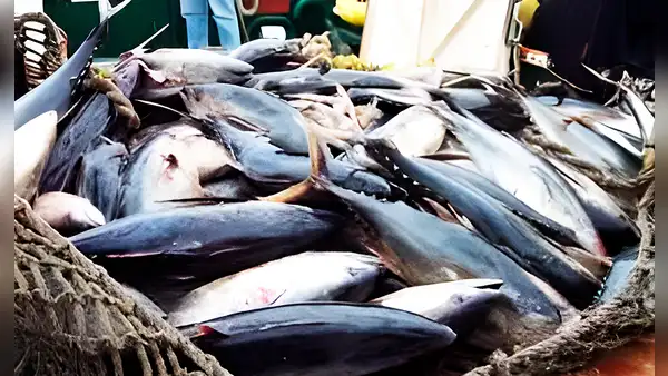 Sada Goray: Exdirector de Pesca niega pagos ilícitos
