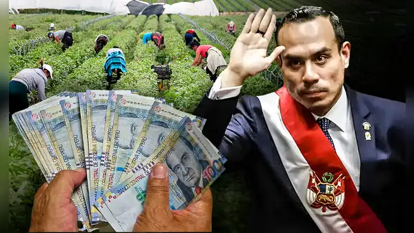 Gobierno propone un nuevo regalo para agroexportadoras que costaría S/2.000 millones al año y alentará la concentración de tierras
