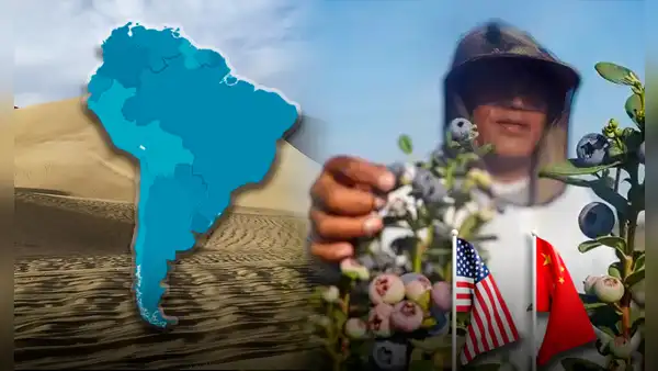 El desierto de América Latina que se terminó convirtiendo en proveedora principal de alimentos de EE.UU., China y Europa
