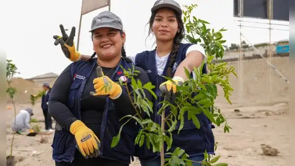 RSAUP 2025: conoce las 3 universidades que lideran en sostenibilidad ambiental