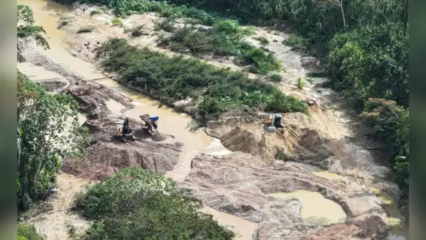 Minería ilegal avanza en Huánuco: defensores del ACP Panguana reciben amenazas de muerte pese a medidas de protección