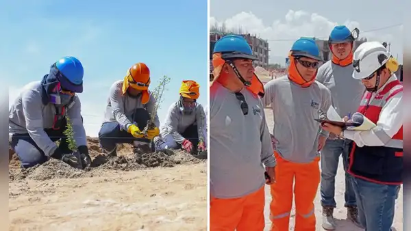 Trabajadores del sector público en Perú recibirán este pago adicional en los sueldos de diciembre 2025: Gobierno confirmó fechas oficiales del depósito