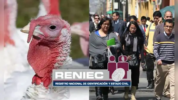 Pavo, Guirnalda, Duende y Brindis: Reniec publica lista de nombres de peruanos inspirados en la Navidad