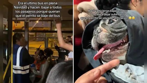 Joven aborda bus del Metropolitano con su perro e inspectora hace bajar a todos los pasajeros: "Era el último bus en plena Navidad"