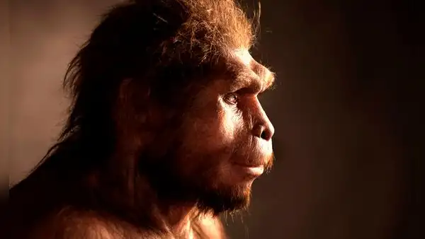 El homo erectus no fue la primera especie en abandonar África: unos fósiles replantean la historia humana