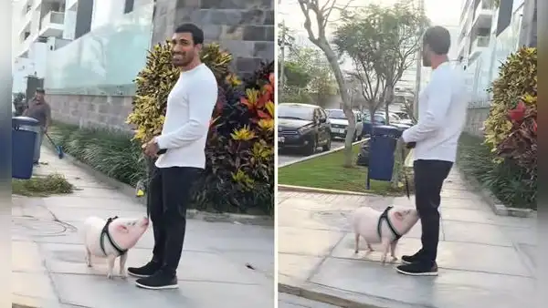 Joven causa sensación al pasear su chanchito en San Isidro y desata reacciones: "Se salvó de la cena navideña"
