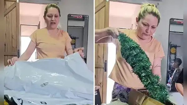 Mujer muestra el árbol navideño que compró en Temu durante noviembre y le llegó en enero: "Parece un perejil"