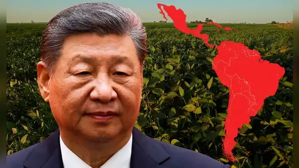 China supera a EE. UU. y realiza su primera compra histórica de 30.000 toneladas de harina de soja a un país de América Latina