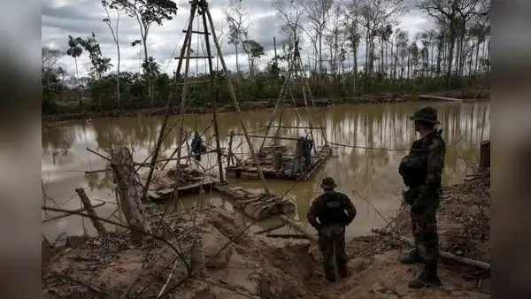 Dragas para extraer oro ilegal aumentaron de 140 en 2021 a 1.613 en 2025