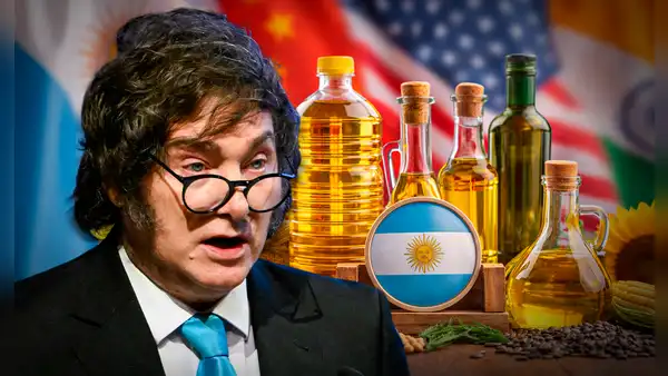 Argentina logra récord histórico y se convierte en principal proveedor de aceites vegetales de una potencia del mundo: no es China ni EE.UU.