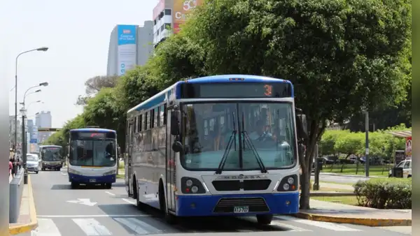 Corredor Azul sería más rápido: viajes se reducirían de 75 a 30 minutos en la av. Arequipa, anuncia ATU
