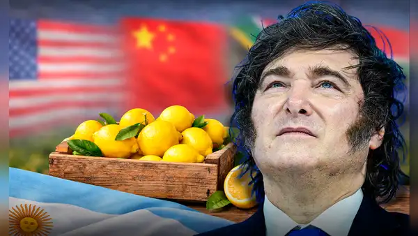 Este país rompe el récord de Argentina y lo supera en exportaciones de limones a potencias como EE.UU. y China, con más de 300.000 toneladas