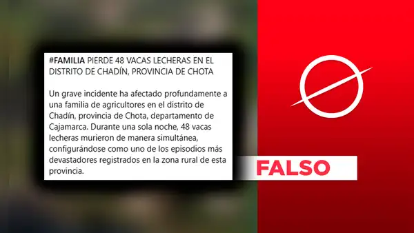 Noticia de mortandad de 48 vacas lecheras en Cajamarca es falsa: SENASA lo confirma