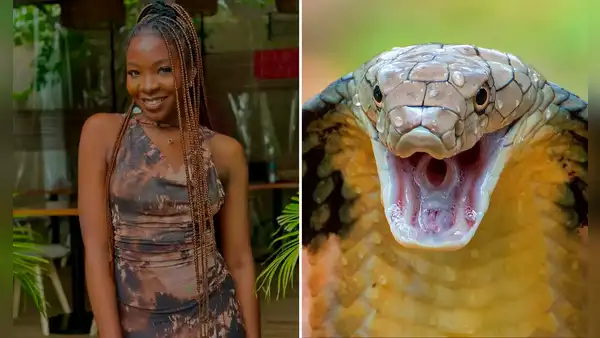Estrella de ‘La voz Nigeria’ muere a los 26 años tras ser mordida por serpiente mientras dormía