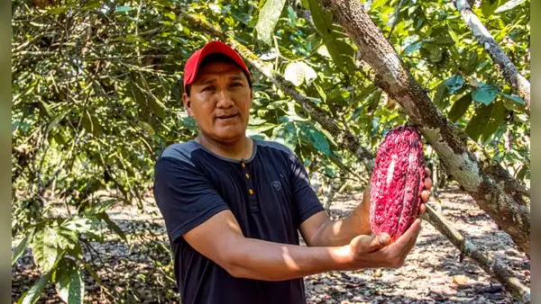 MIDAGRI: Perú superó los US$15.000 millones en agroexportaciones al cierre del 2025