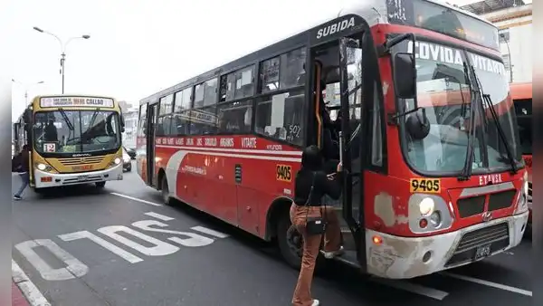 Nuevos carriles exclusivos para buses en el Callao prometen acceso más rápido a la Línea 2 del Metro