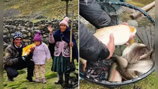 Familia peruana vive SOLA a más de 4.000 m.s.n.m. y creó su propio paraíso productivo de truchas en los Andes: "Es un trabajo fuerte"