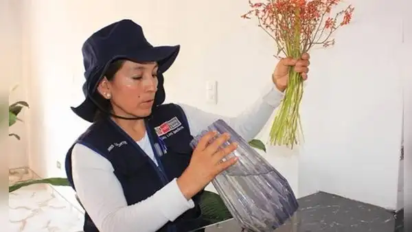 Minsa presenta Plan de Prevención y Control del Dengue 2026 ante alerta epidemiológica: ¿Cómo evitar el dengue?