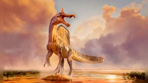 Un descubrimiento “maravilloso” en el Sáhara: una nueva especie de dinosaurio de 13 metros con una cresta de colores