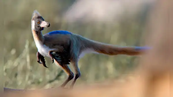 Descubren en Argentina un pequeño dinosaurio de 90 millones de años que aclara un misterio evolutivo