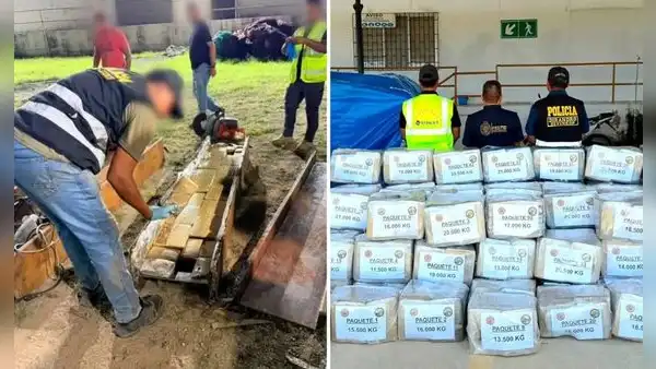 Policía de Perú y Ecuador incauta más de 1,5 toneladas de marihuana valorizadas en 3 millones de dólares: estaban ocultas en vigas