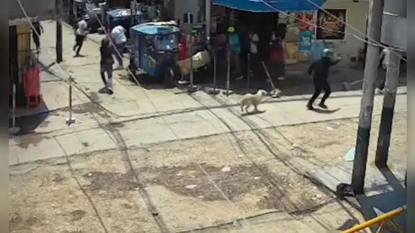 Sicarios disparan a tres hombres a pocos metros del Mercado Condevilla, en San Martín de Porres