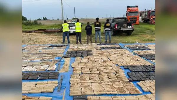 Mafia transnacional iba a enviar una tonelada y media de marihuana Creepy de Perú a Chile