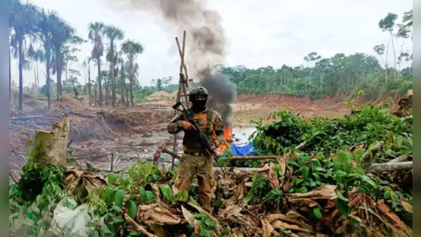 Madre de Dios: Minería ilegal pierde más de S/ 10 millones por operaciones militares