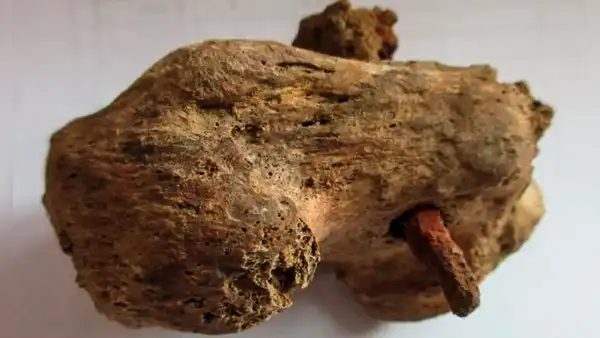 Descubrimiento arqueológico revela la "mayor evidencia" que confirma la existencia de la crucifixión en la antigua Roma