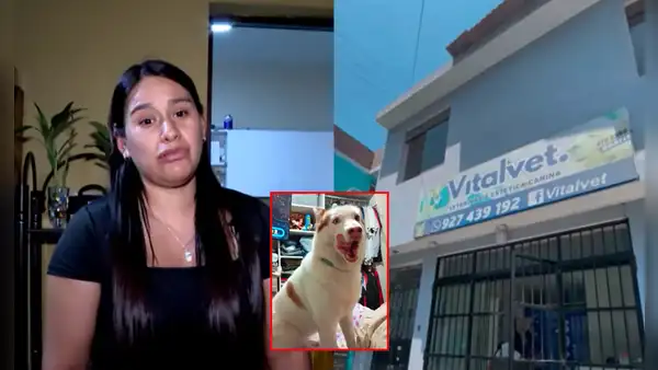 Pareja denuncia a veterinaria de VES por muerte de su mascota tras presunta mala praxis en esterilización