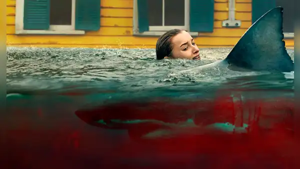 Película 'Embestida' Netflix final explicado: ¿qué pasó con los hermanos Dee, Ron y Will y otros personajes principales?