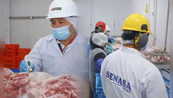 Perú obtiene autorización para exportar carne de ave y cerdo al mercado de Singapur