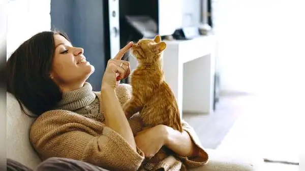 Un estudio confirma que hablarle a tu gato con voz infantil mejora su atención y fortalece el vínculo emocional